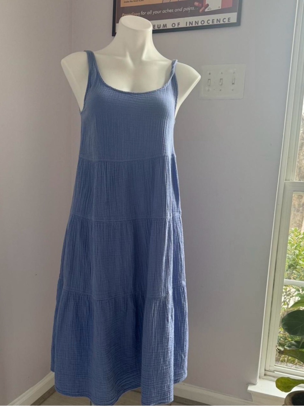 Aritzia Sleeveless Tiered Maxi Dress in Dusty Blue